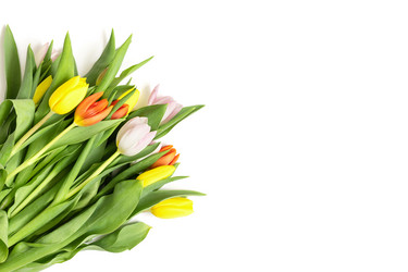 Similar image 21346561