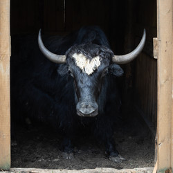 Similar image 21345601