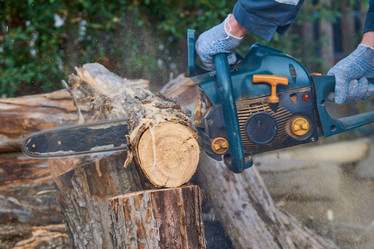 Similar image 21345430