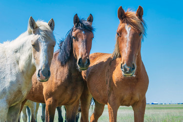 Similar image 21345432