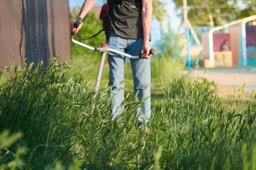 Similar image 21345441