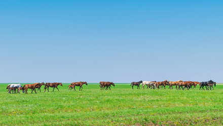 Similar image 21345442