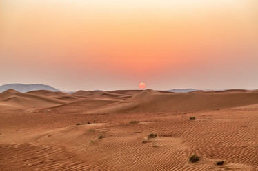 Similar image 21359543