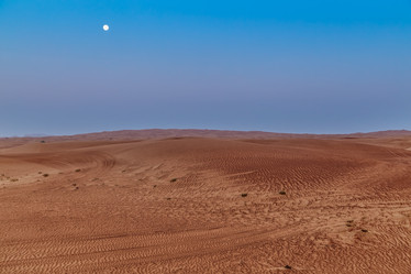 Similar image 21359545