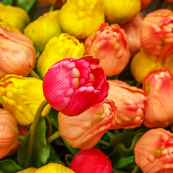 Similar image 21359556