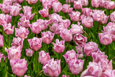 Similar image 21359560