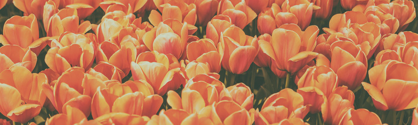 Similar image 21359562