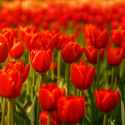 Similar image 21359566