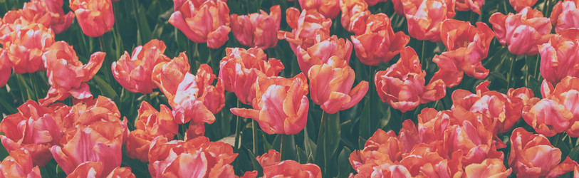 Similar image 21359568