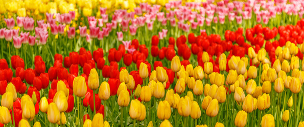 Similar image 21359570