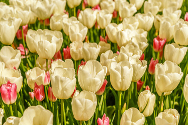 Similar image 21359572