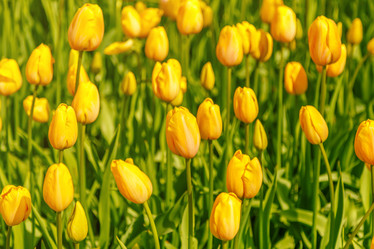 Similar image 21359574