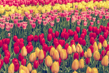 Similar image 21359576