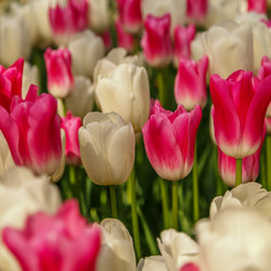 Similar image 21359578