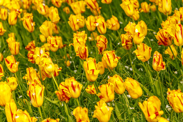 Similar image 21359580