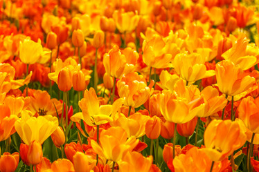 Similar image 21359582