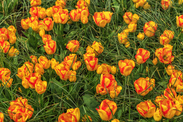 Similar image 21359584