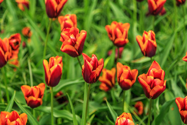 Similar image 21359586