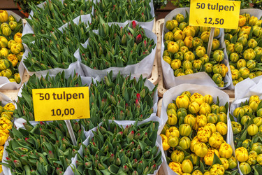 Similar image 21359471