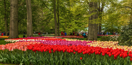 Similar image 21359496