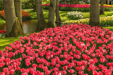 Similar image 21359623