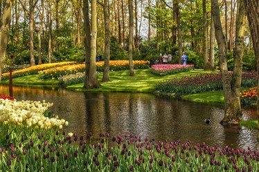 Similar image 21359625