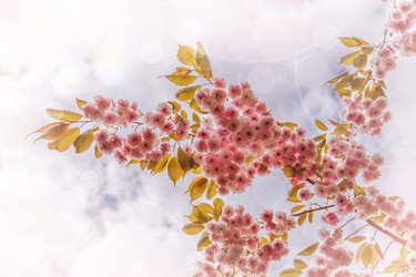 Similar image 21359637