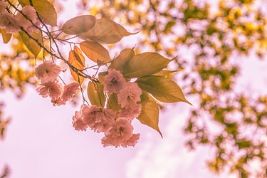 Similar image 21359639