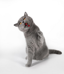 Similar image 21346562