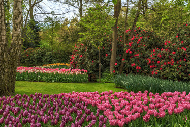 Similar image 21359681