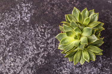 Similar image 21359693