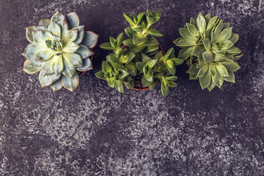 Similar image 21359701