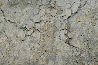 Similar image 21345764