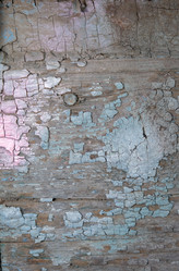 Similar image 21345766