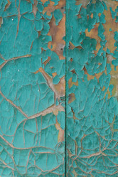 Similar image 21345767