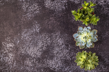 Similar image 21359410