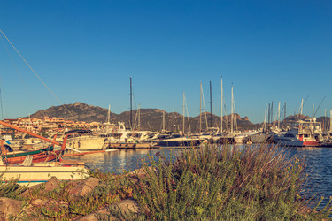 Similar image 21359431