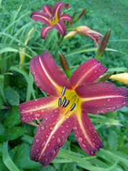 Similar image 21346331