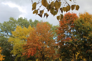 Similar image 21346332