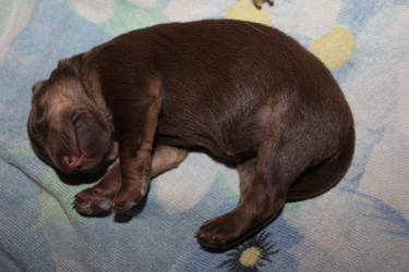 Similar image 21352291