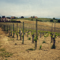 Similar image 21352901