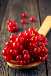 Similar image 21352983