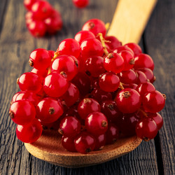 Similar image 21352991