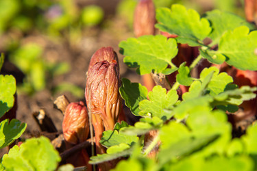 Similar image 21345549