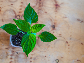 Similar image 21345550