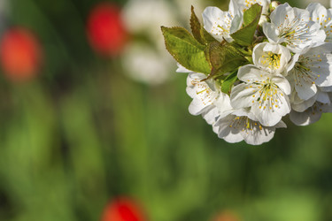 Similar image 21345552