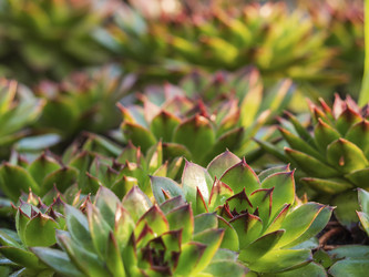 Similar image 21345554