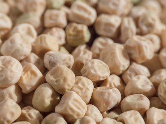 Similar image 21345556