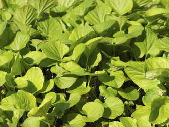 Similar image 21345558