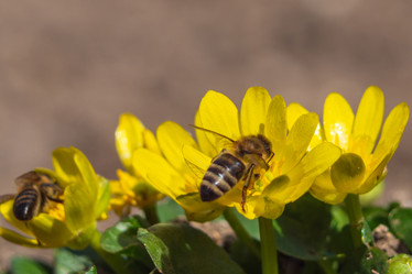 Similar image 21345561